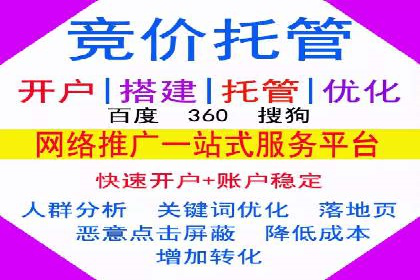 搜索引擎营销（SEM）托管服务在某企业的成功应用